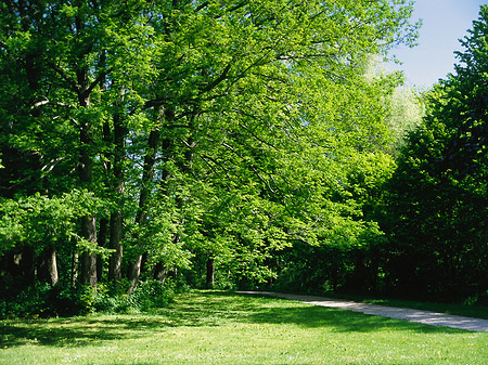 Foto Englischer Garten - München