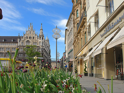 Foto Weinstraße - München