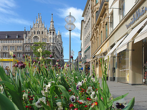 Weinstraße - Bayern (München)
