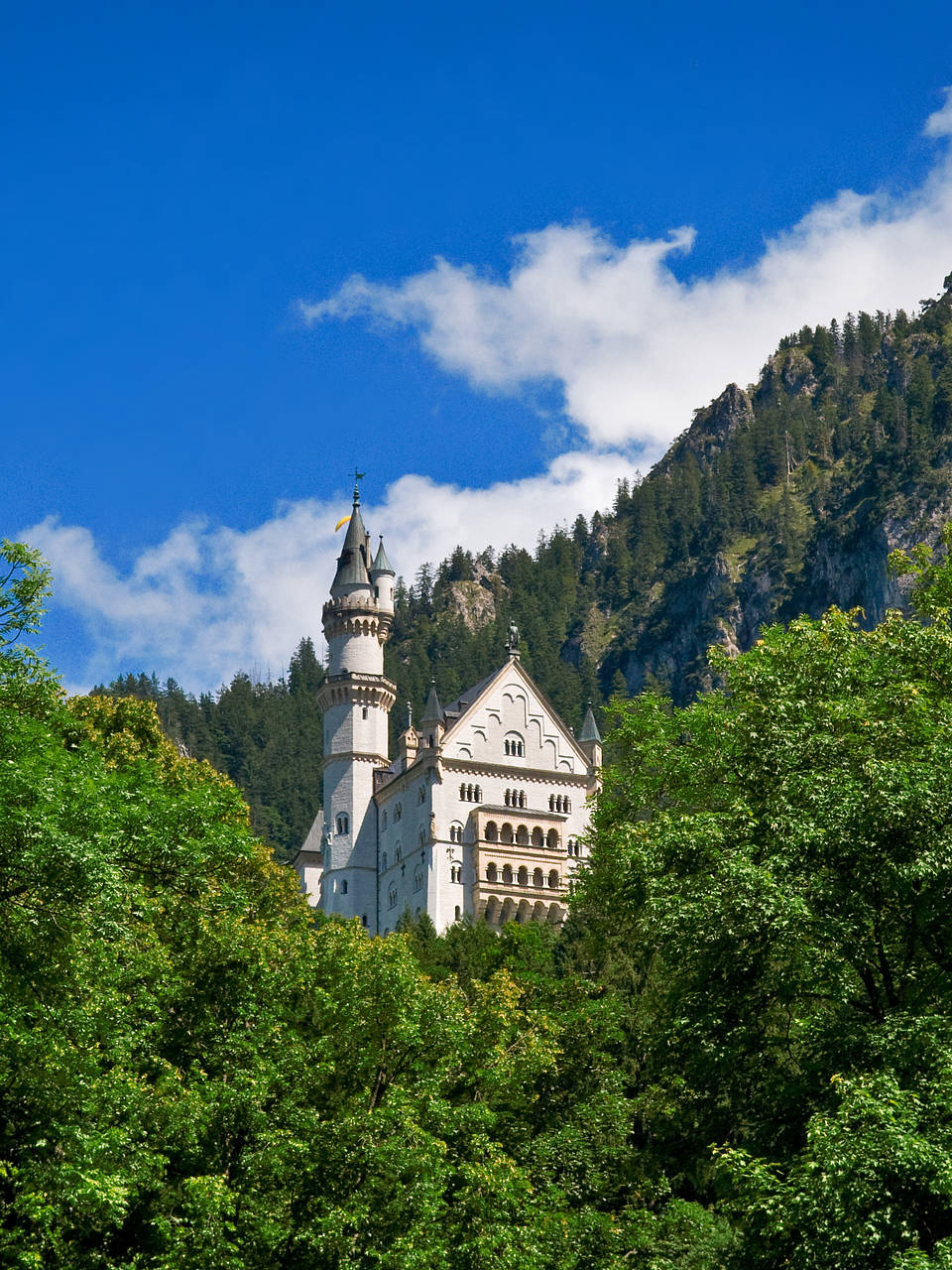  Impressionen von Citysam  Majestätisch. Schloss Neuschwanste.