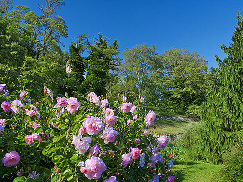 Mainau Foto Reiseführer  