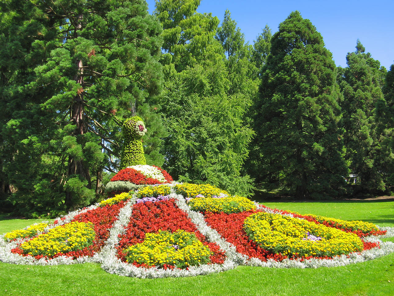 Foto Mainau - Konstanz