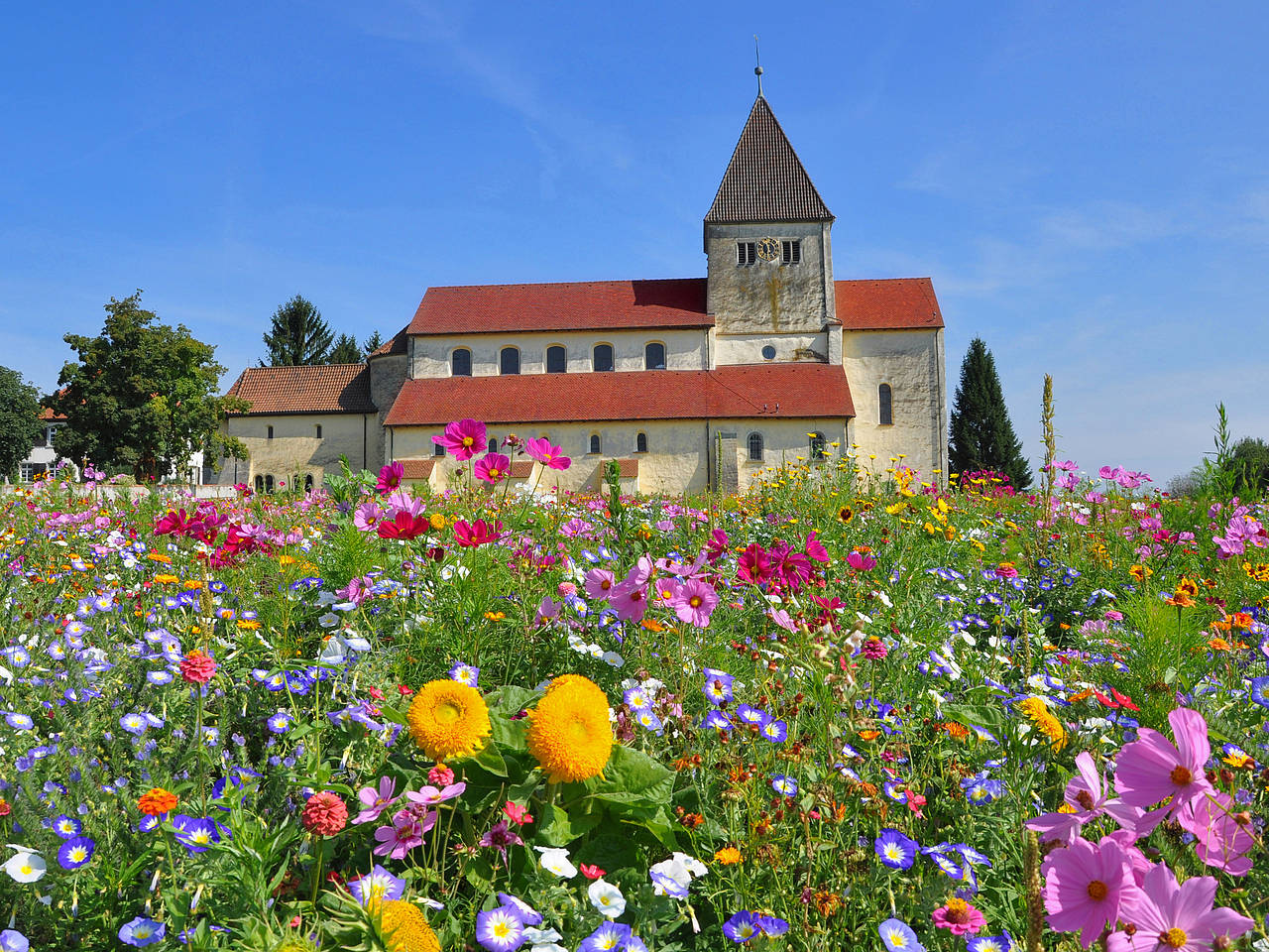 Fotos Reichenau