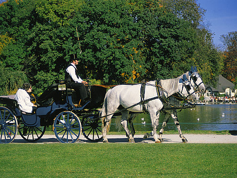 Foto Englischer Garten