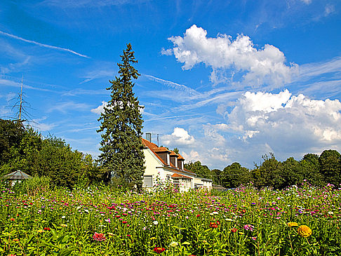 Fotos Schwabing