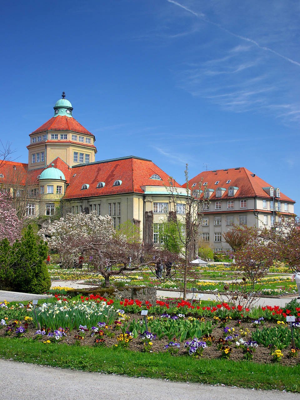 Botanischer Garten Foto 