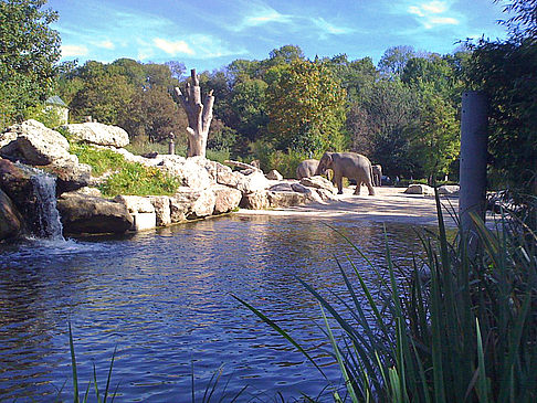Fotos Tierpark Hellabrunn 