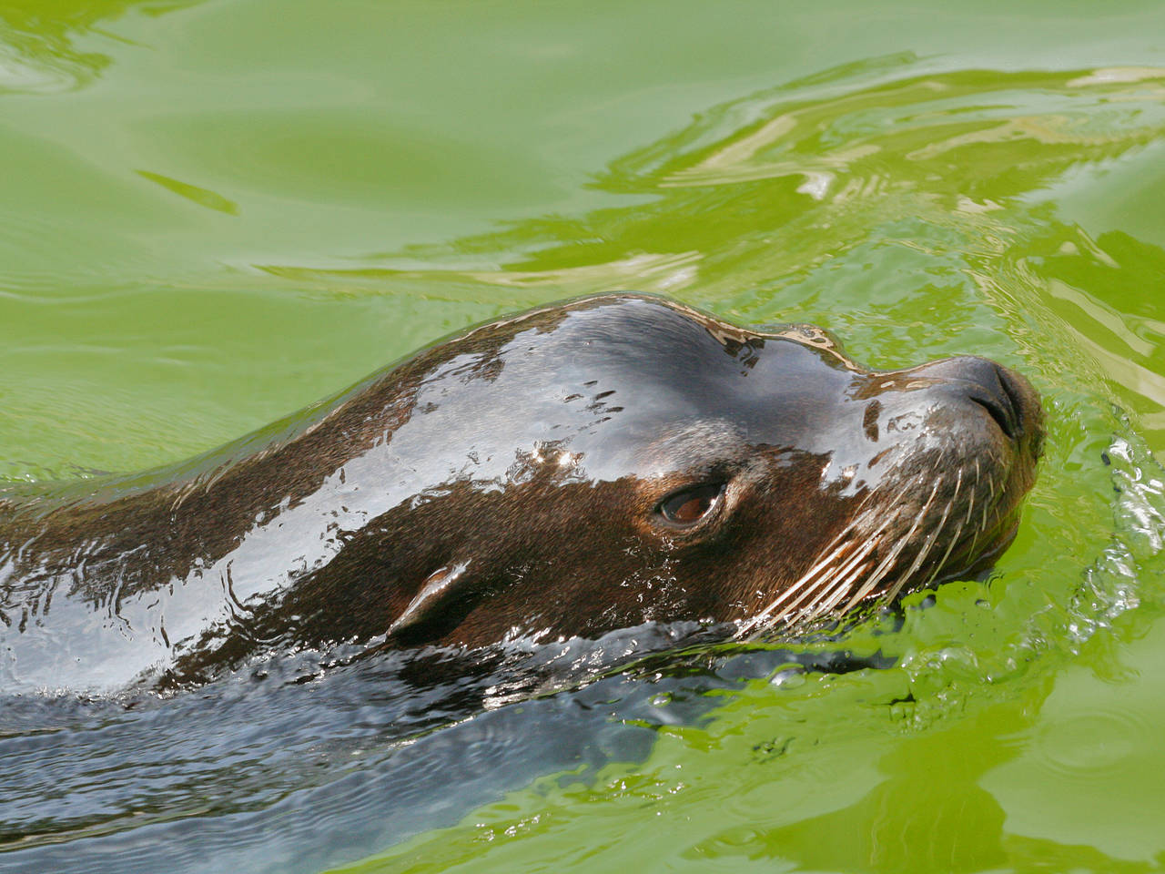 Fotos Tierpark Hellabrunn  | München