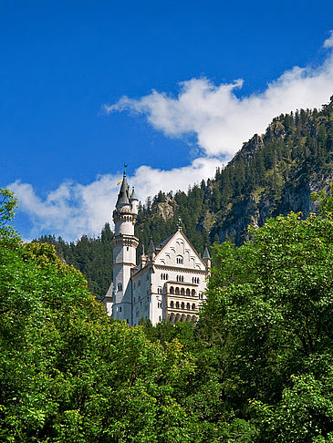 Schloss Neuschwanstein Foto 