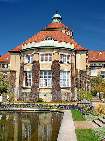 Botanischer Garten Fotos