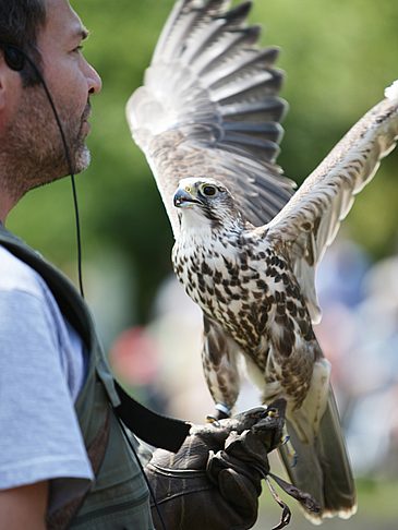Tierpark Hellabrunn  - Bayern (München)
